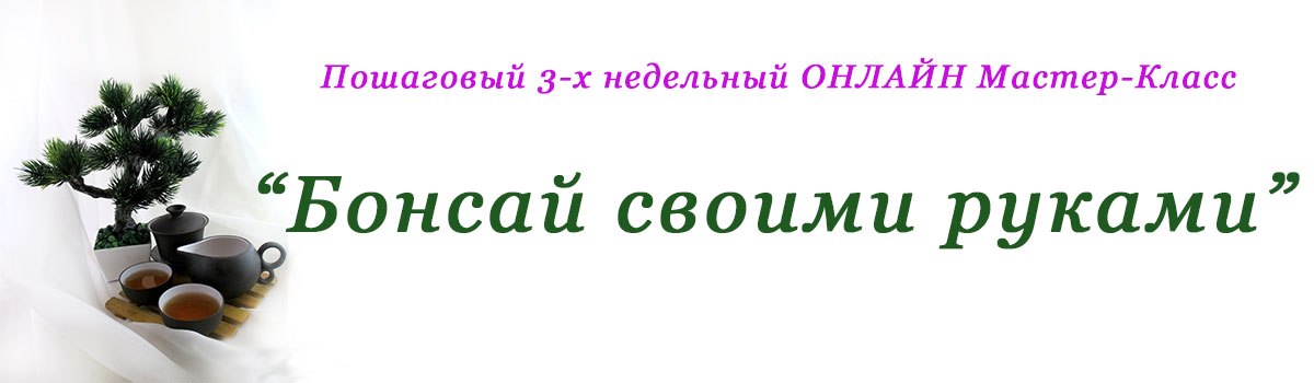 МК _Бонсай своими руками__0.jpg